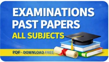 Download Ludewa Pre mock examinations past paper 2024