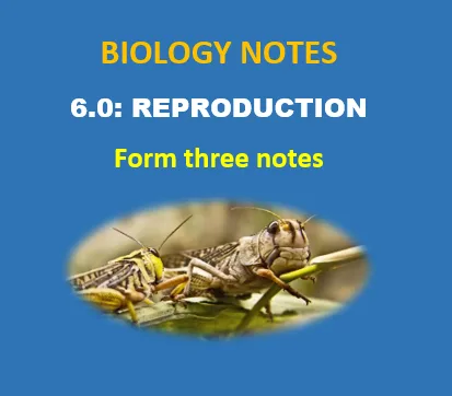 6: Reproduction – Biology Notes Form three