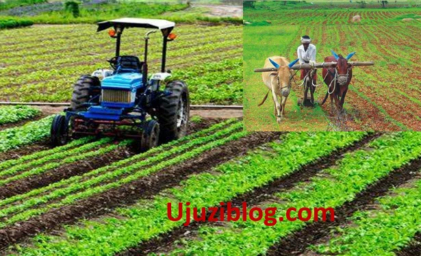 2.0:Agriculture-form two topic