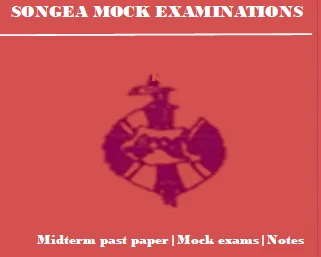 Download Songea mock examinations March 2025